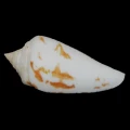 DSC07305.JPG