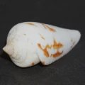 DSC07306.JPG