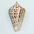DSC07325.JPG