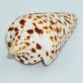 DSC07319.JPG