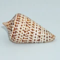 DSC07322.JPG