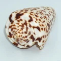 DSC07315.JPG