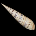 DSC07643.JPG