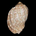 DSC07627.JPG
