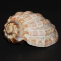 DSC07633.JPG