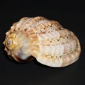 DSC07638.JPG