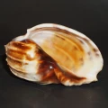 DSC07639.JPG