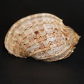 DSC07640.JPG