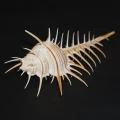 DSC07646.JPG