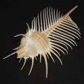 DSC07657.JPG