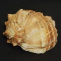 DSC07704.JPG