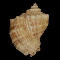 DSC07705.JPG
