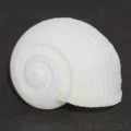 DSC07707.JPG