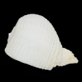 DSC07712.JPG