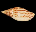 DSC07693.JPG