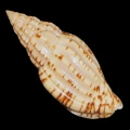 DSC07715.JPG