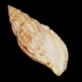 DSC07716.JPG