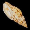 DSC07723.JPG
