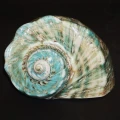 DSC07725.JPG