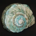 DSC07730.JPG