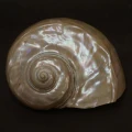 DSC07739.JPG