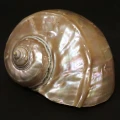 DSC07740.JPG