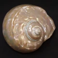 DSC07741.JPG