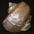 DSC07742.JPG