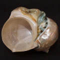 DSC07743.JPG