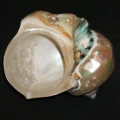 DSC07745.JPG