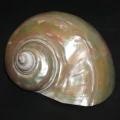 DSC07732.JPG