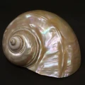 DSC07735.JPG