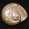 DSC07736.JPG