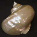 DSC07737.JPG