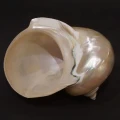 DSC07738.JPG