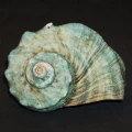 DSC07766.JPG