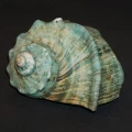 DSC07768.JPG
