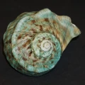 DSC07773.JPG