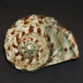 DSC07776.JPG