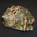 DSC07777.JPG