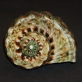 DSC07782.JPG