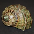 DSC07784.JPG