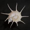 DSC07807.JPG