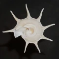 DSC07803.JPG
