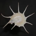 DSC07810.JPG