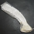 DSC07812.JPG