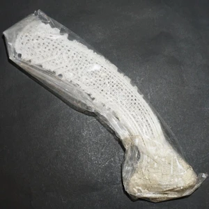 Naturalna gąbka szklista Euplectella aspergillum n.1