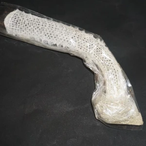Naturalna gąbka szklista Euplectella aspergillum n.2