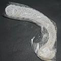 DSC07821.JPG