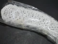 DSC07824.JPG